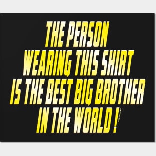 Best Big Brother Posters and Art